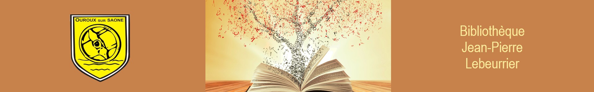 Bibliotheque Dr Jean-pierre Lebeurrier